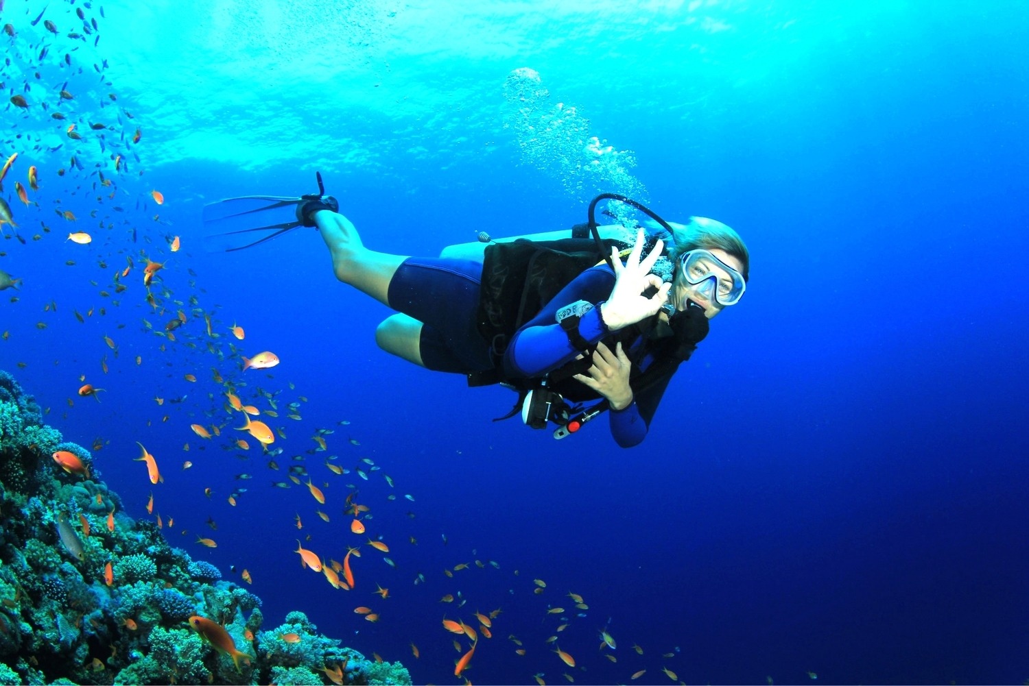 Scuba Diving in Goa for Non Swimmers